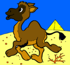 Dibujo Camello pintado por fernandin