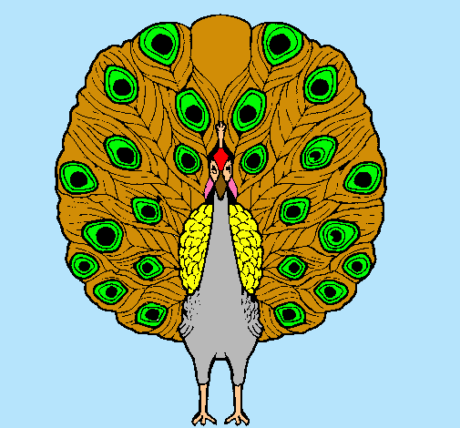 Pavo real