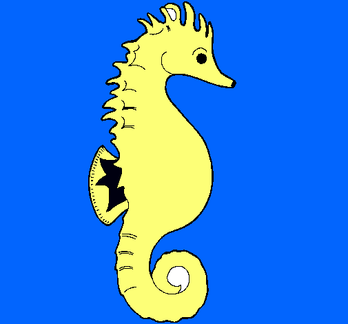 Caballito de mar