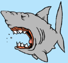 Dibujo Tiburón pintado por carlota