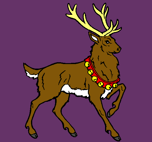 Venado