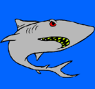 Dibujo Tiburón pintado por felipe