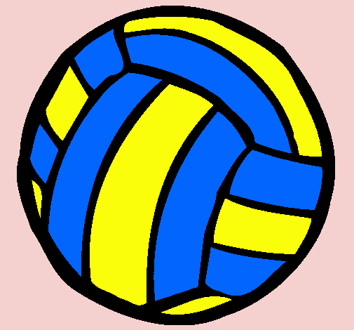 Pelota de voleibol