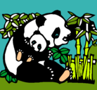 Dibujo Mama panda pintado por Adri