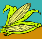 Dibujo Mazorca de maíz pintado por VIOLETA