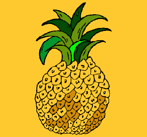 piña