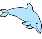 Dibujo Delfín contento pintado por fernandita