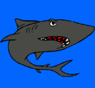 Dibujo Tiburón pintado por vicho