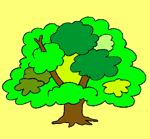 Árbol