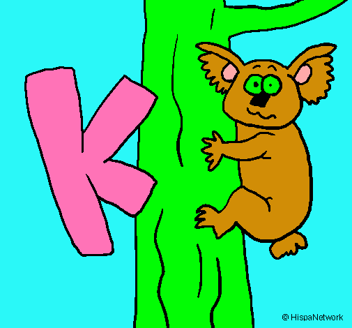 Koala