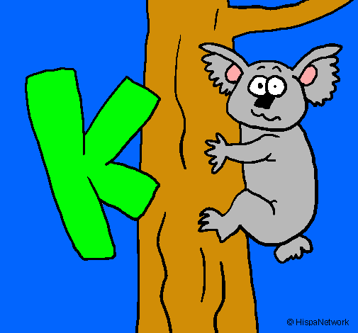 Koala