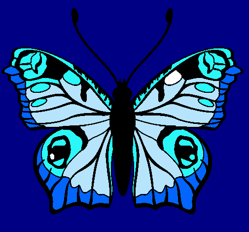 Dibujo Mariposa  pintado por miriamnf