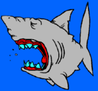 Dibujo Tiburón pintado por erick