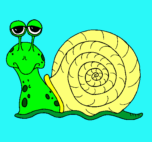 Caracol