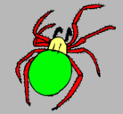 Dibujo Araña venenosa pintado por luciano 