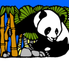 Dibujo Oso panda y bambú pintado por nechito