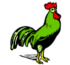Dibujo Gallo gallardo pintado por gallo