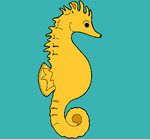 Caballito de mar