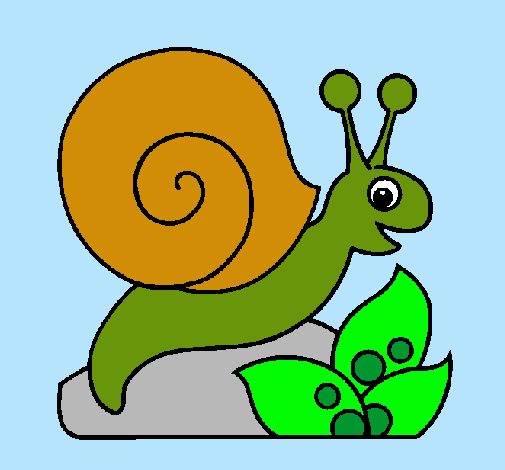 Caracol