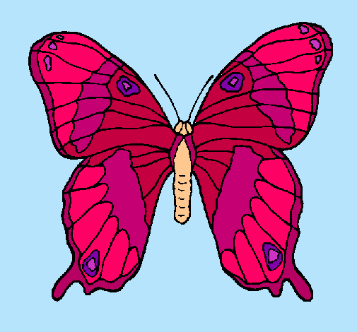 Dibujo Mariposa pintado por Llara