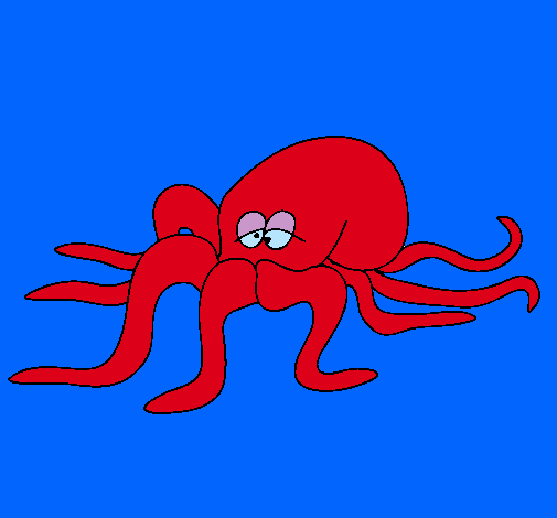 Pulpo