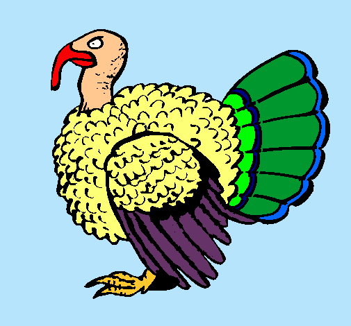 Pavo 