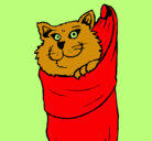 Dibujo Gato dentro de una calcetín pintado por amalia