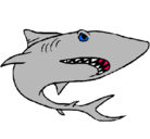 Dibujo Tiburón pintado por hobre