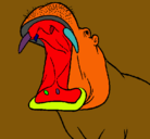 Dibujo Hipopótamo con la boca abierta pintado por joseraomn