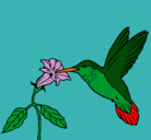 Dibujo Colibrí y una flor pintado por Valu001