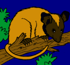 Dibujo Ardilla possum pintado por daniela1
