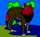 Dibujo Lobo pintado por axel