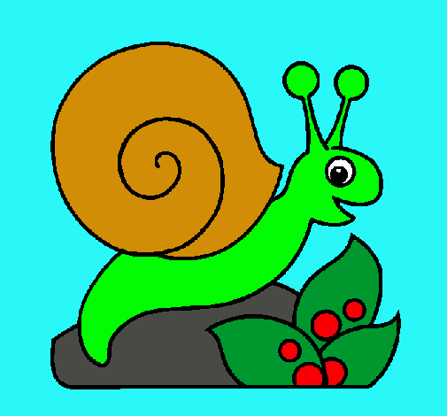 Caracol