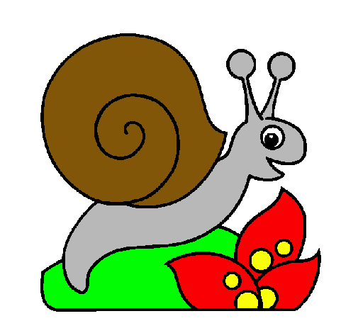 Caracol