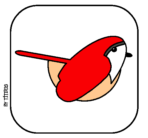 Pájaro II