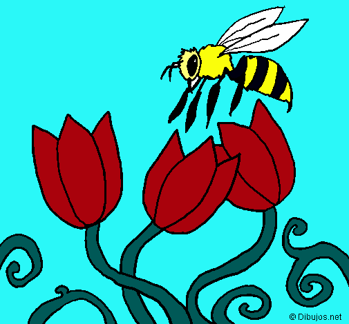 Abeja