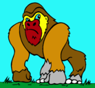 Dibujo Gorila pintado por esther