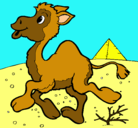 Dibujo Camello pintado por margary