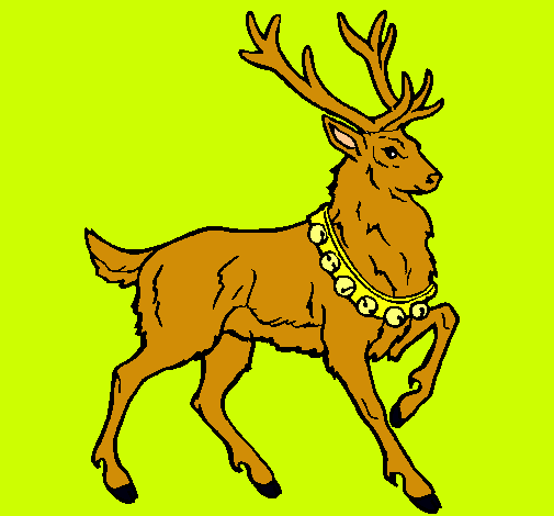 Venado