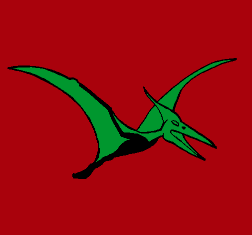 Pterodáctilo