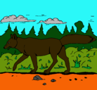 Dibujo Coyote pintado por lobi