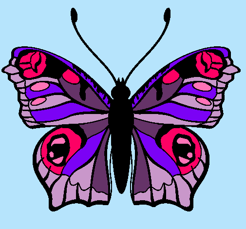 Mariposa 