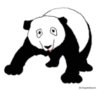 Dibujo Oso panda pintado por dalin