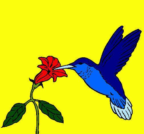 Colibrí y una flor