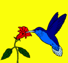 Dibujo Colibrí y una flor pintado por margary