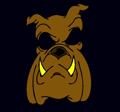 Bull dog II