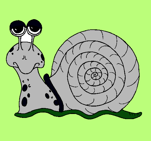 Caracol