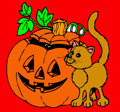 Calabaza y gato