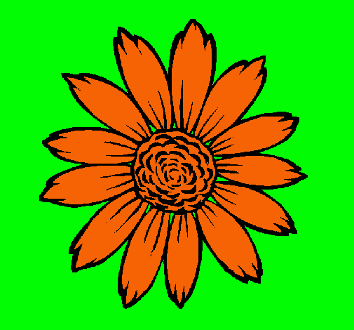 Girasol