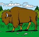 Dibujo Búfalo  pintado por Avatar